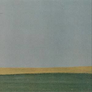 Meet your Posher, Gavin